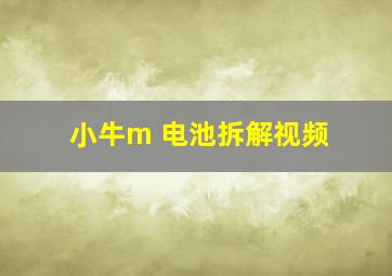 小牛m 电池拆解视频